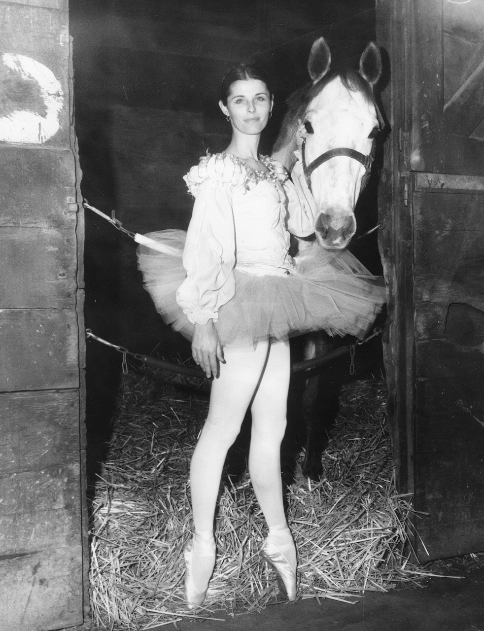 Golden Gates Fields promotional image